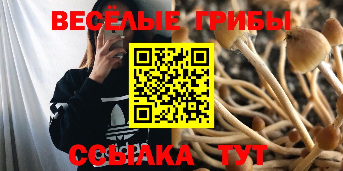 Псилоцибиновые грибы ЛСД  Вход с VPN  Псилоцибиновые грибы ЛСД  Мценск 