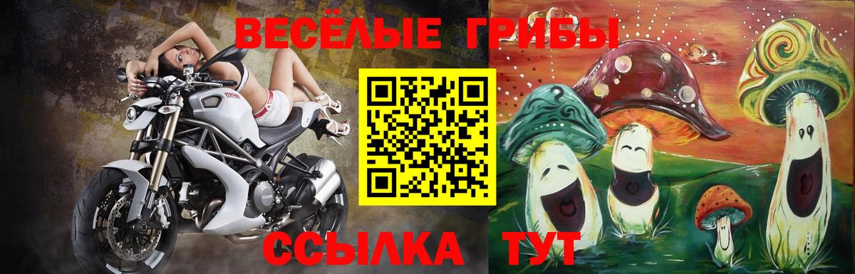 Галлюциногенные грибы GOLDEN TEACHER Мценск